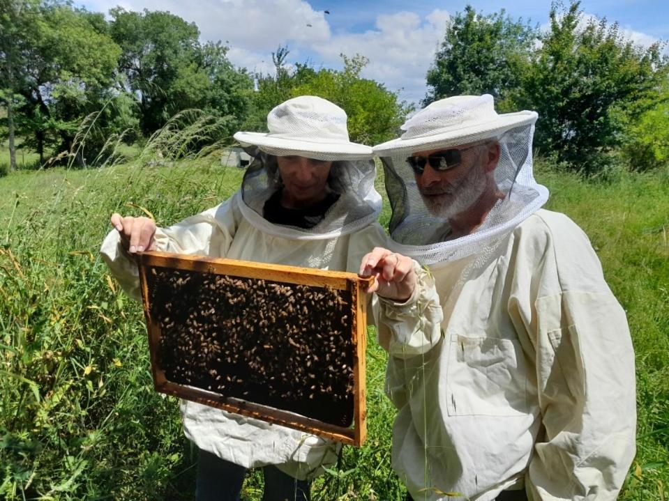 فيلا Domaine Des Quatre Terres Lesparre-Médoc المظهر الخارجي الصورة